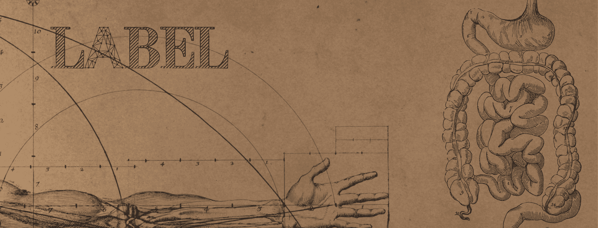 The Anatomy of a Label